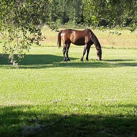 Kokomo Farms Live Oak Extérieur photo
