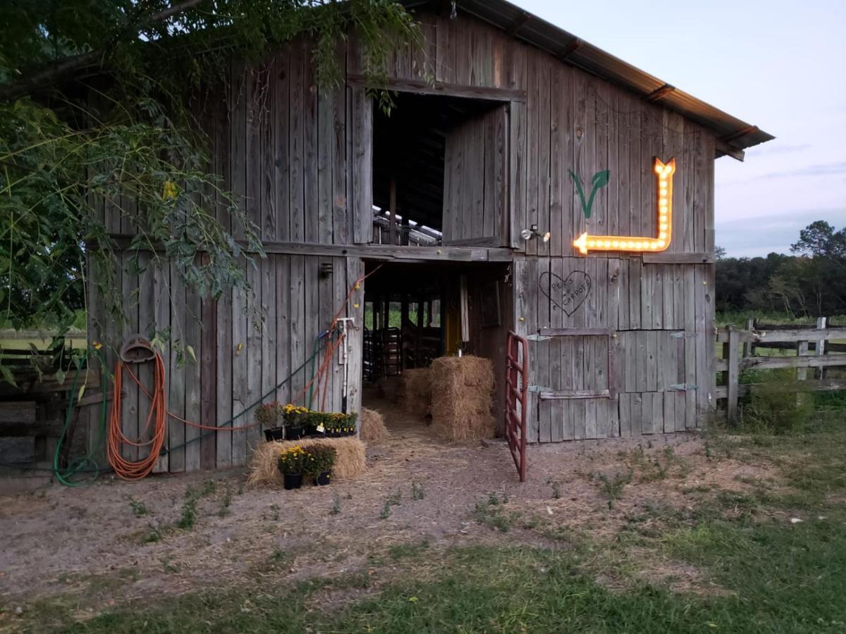 Kokomo Farms Live Oak Extérieur photo