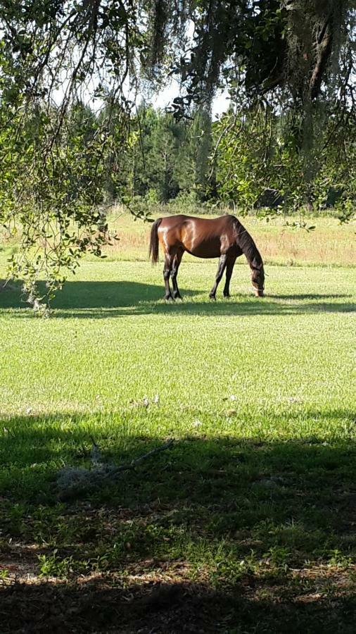 Kokomo Farms Live Oak Extérieur photo